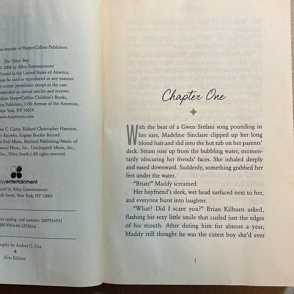 📚2/$6  The Other Boy - Picture 9 of 12